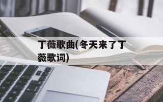 丁薇歌曲(冬天来了丁薇歌词)