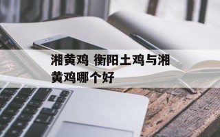 湘黄鸡 衡阳土鸡与湘黄鸡哪个好