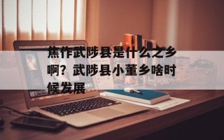 焦作武陟县是什么之乡啊？武陟县小董乡啥时候发展