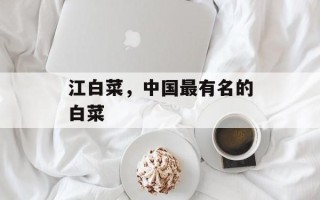 江白菜，中国最有名的白菜