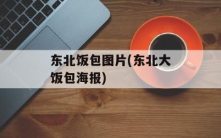 东北饭包图片(东北大饭包海报)