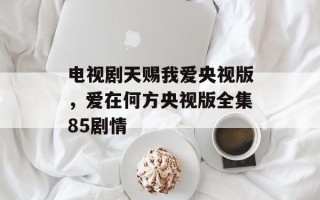 电视剧天赐我爱央视版，爱在何方央视版全集85剧情