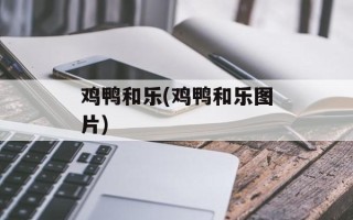 鸡鸭和乐(鸡鸭和乐图片)