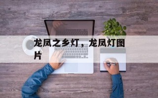 龙凤之乡灯，龙凤灯图片