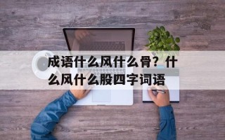 成语什么风什么骨？什么风什么股四字词语