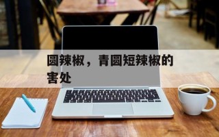 圆辣椒，青圆短辣椒的害处