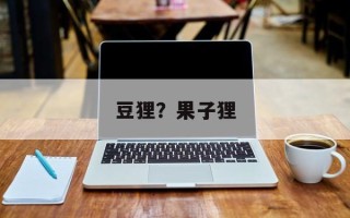 豆狸？果子狸