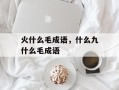 火什么毛成语，什么九什么毛成语