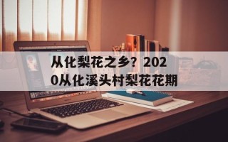 从化梨花之乡？2020从化溪头村梨花花期