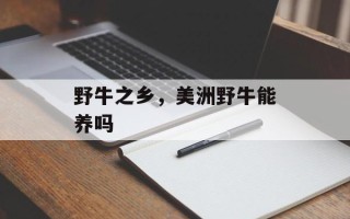 野牛之乡，美洲野牛能养吗