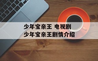 少年宝亲王 电视剧 少年宝亲王剧情介绍