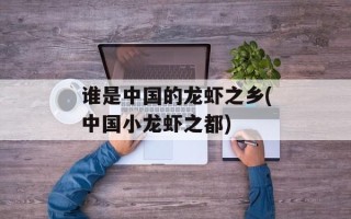 谁是中国的龙虾之乡(中国小龙虾之都)