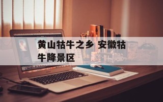 黄山牯牛之乡 安徽牯牛降景区