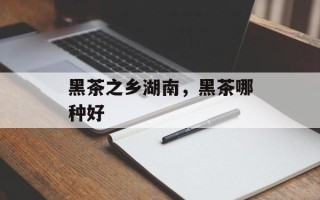 黑茶之乡湖南，黑茶哪种好