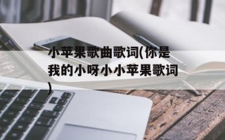 小苹果歌曲歌词(你是我的小呀小小苹果歌词)
