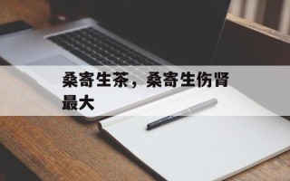 桑寄生茶，桑寄生伤肾最大
