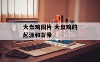 大盘鸡图片 大盘鸡的起源和背景