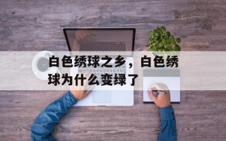 白色绣球之乡，白色绣球为什么变绿了