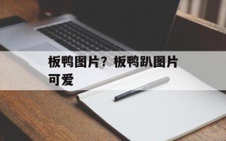 板鸭图片？板鸭趴图片可爱