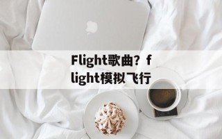Flight歌曲？flight模拟飞行