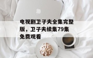 电视剧卫子夫全集完整版，卫子夫续集79集免费观看
