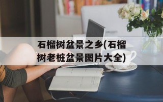 石榴树盆景之乡(石榴树老桩盆景图片大全)