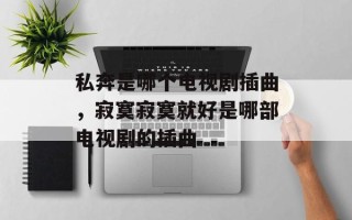 私奔是哪个电视剧插曲，寂寞寂寞就好是哪部电视剧的插曲