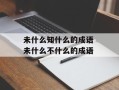 未什么知什么的成语 未什么不什么的成语