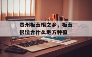 贵州板蓝根之乡，板蓝根适合什么地方种植