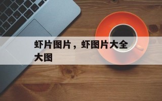 虾片图片，虾图片大全大图