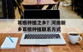葛根种植之乡？河南新乡葛根种植联系方式