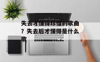 失去才懂得珍惜的歌曲？失去后才懂得是什么歌