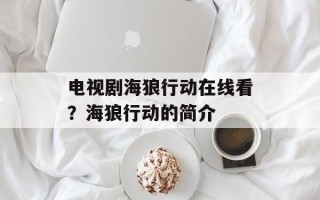 电视剧海狼行动在线看？海狼行动的简介
