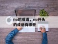 nu的成语，nu开头的成语有哪些