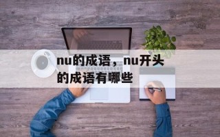nu的成语，nu开头的成语有哪些