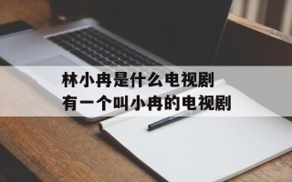 林小冉是什么电视剧 有一个叫小冉的电视剧