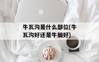牛瓦沟是什么部位(牛瓦沟好还是牛腩好)