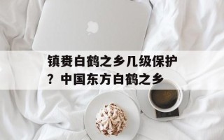 镇赉白鹤之乡几级保护？中国东方白鹤之乡