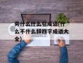 旁什么什么引成语(什么不什么辞四字成语大全)
