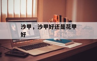 沙甲，沙甲好还是花甲好