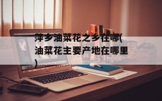 萍乡油菜花之乡在哪(油菜花主要产地在哪里)
