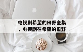 电视剧希望的田野全集，电视剧在希望的田野