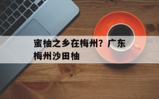 蜜柚之乡在梅州？广东梅州沙田柚