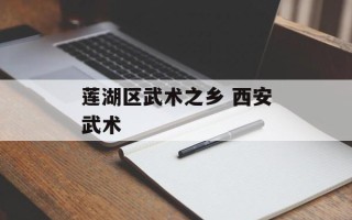 莲湖区武术之乡 西安武术