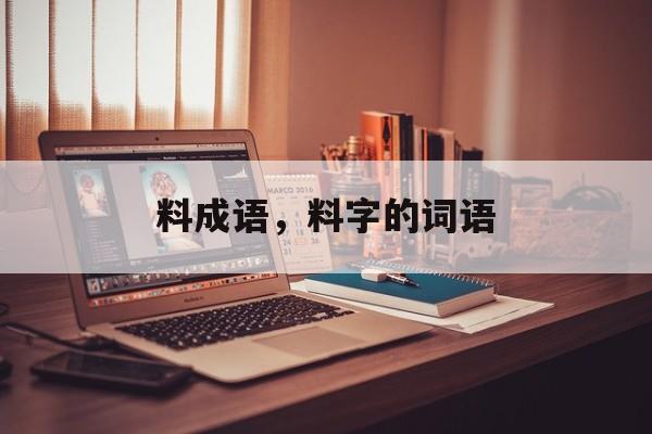 料成语，料字的词语-第1张图片-
