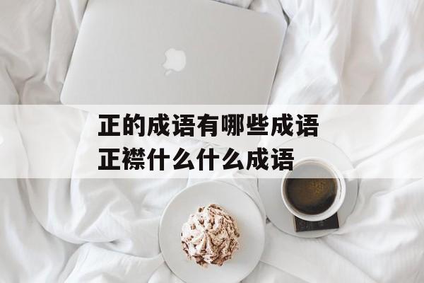 正的成语有哪些成语 正襟什么什么成语-第1张图片-
