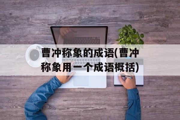 曹冲称象的成语(曹冲称象用一个成语概括)-第1张图片-
