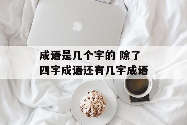 成语是几个字的 除了四字成语还有几字成语-第1张图片-