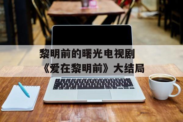 黎明前的曙光电视剧 《爱在黎明前》大结局-第1张图片-