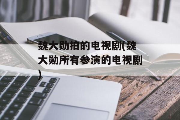 魏大勋拍的电视剧(魏大勋所有参演的电视剧)-第1张图片-